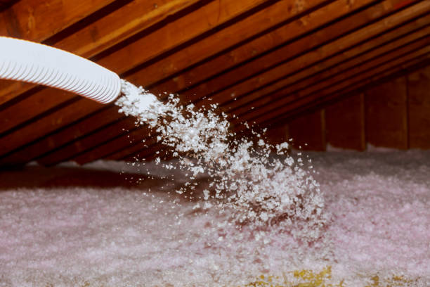 Best Types of Insulation in Fort Ashby, WV